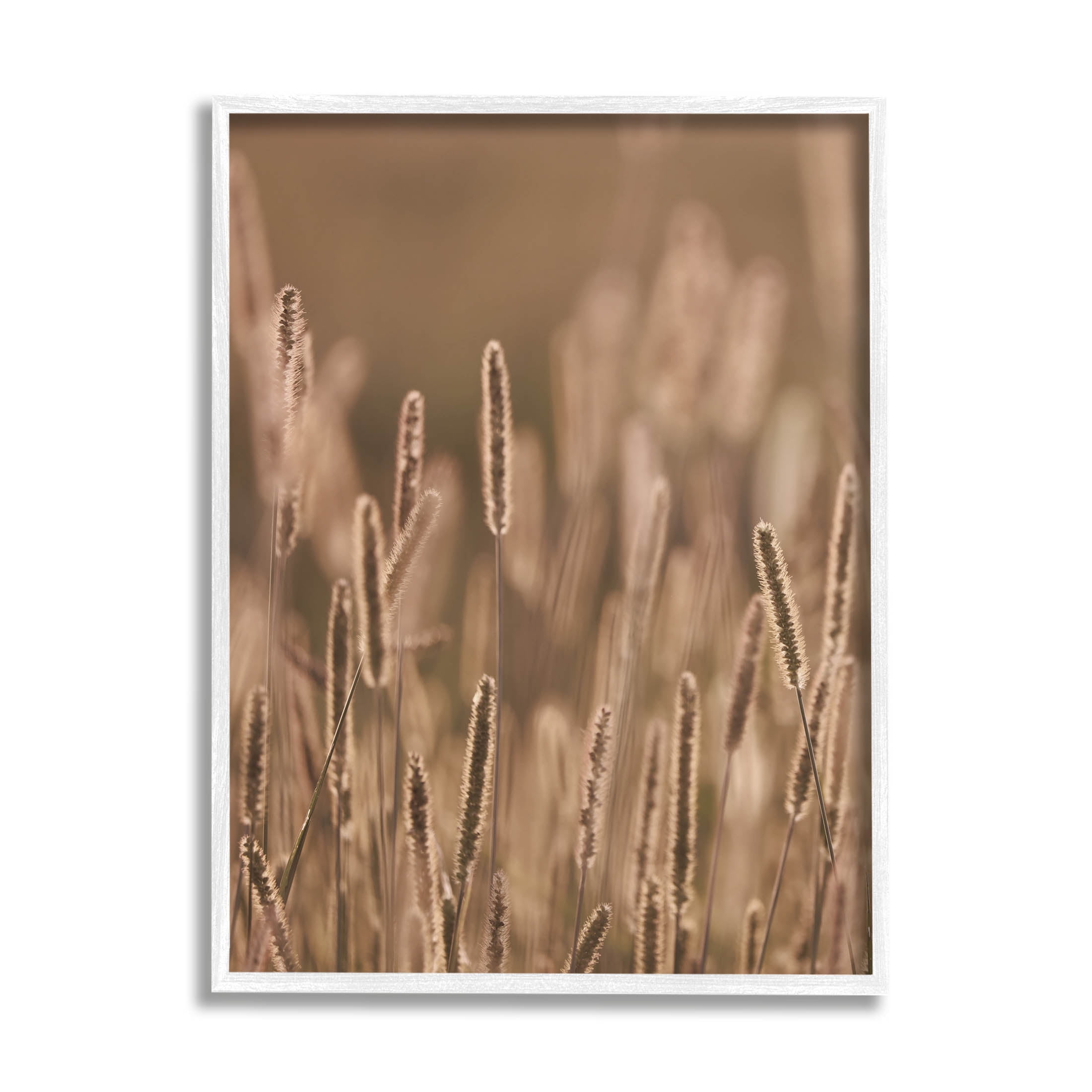 Rural Wheat Field Nature Botanical & Floral Photograph White Framed Art Print Wall Art
