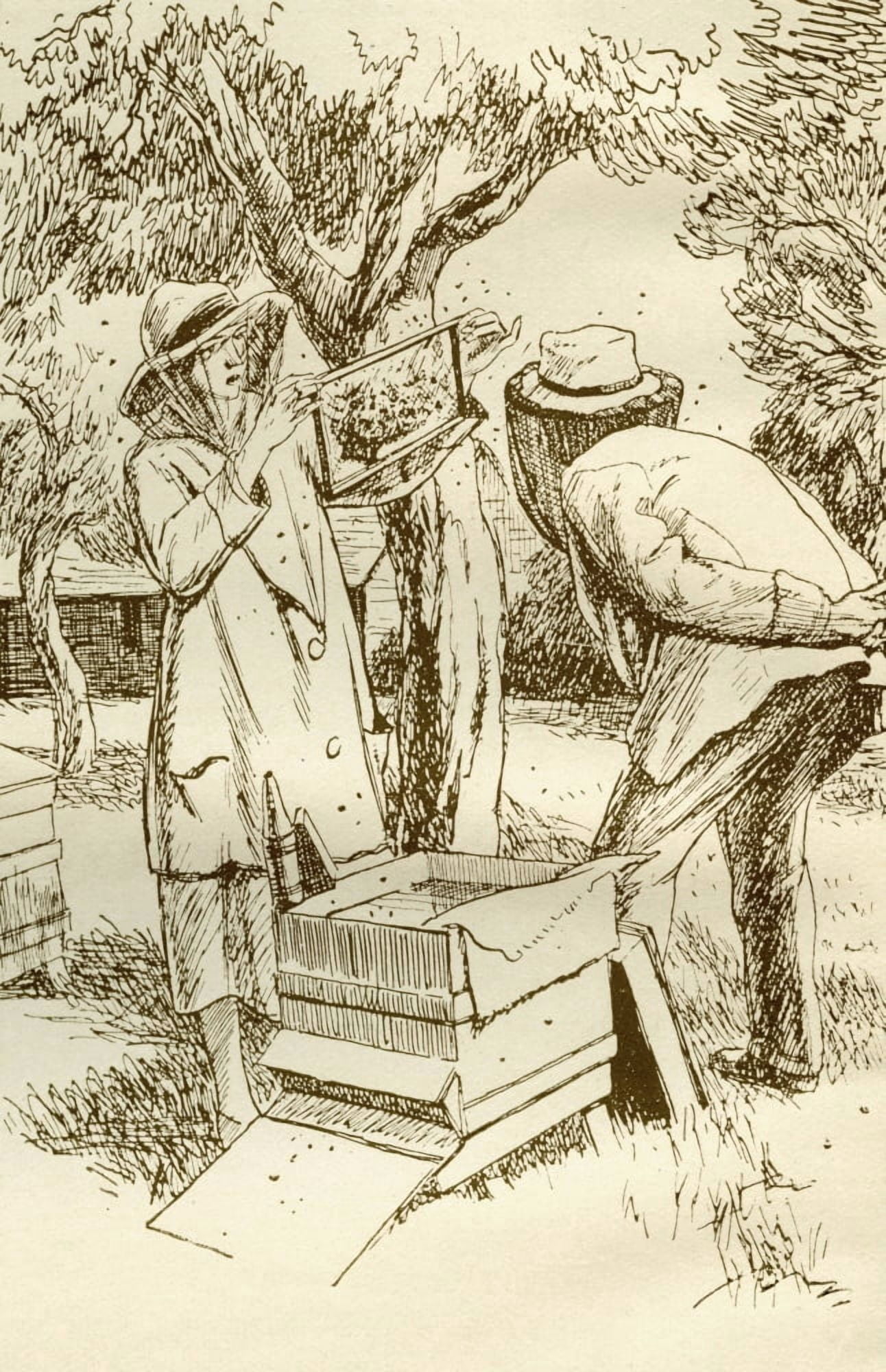 Rural beekeeping in the early twentieth century From Windfalls by Alpha of the Plough published 1921 Canvas Art - Ken Welsh Design Pics (22 x 34)