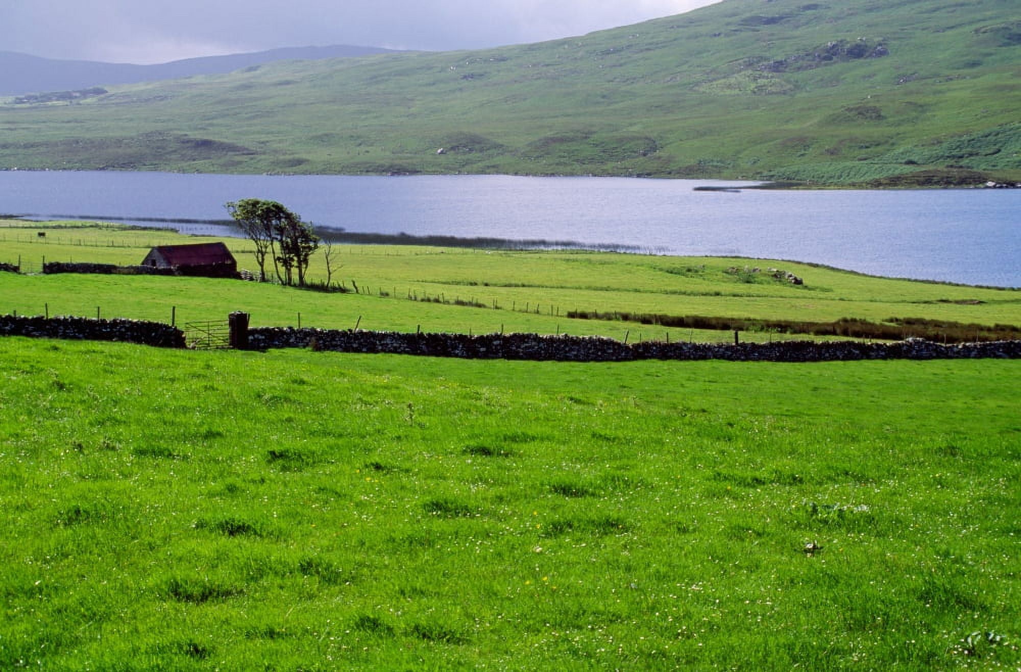 Rural countryside with lake Ireland Canvas Art - Panoramic Images (27 x 9)