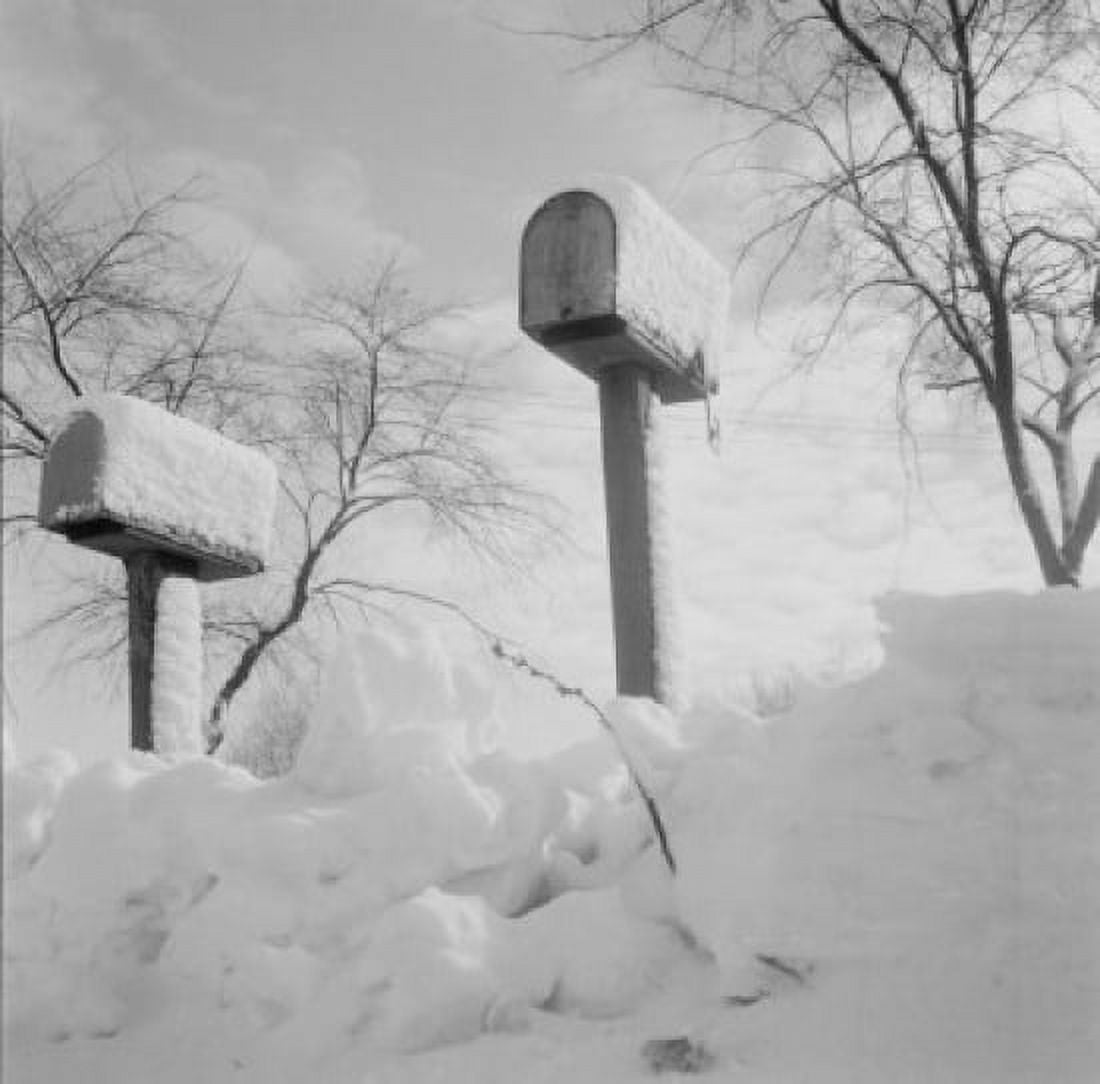 Rural mail boxes in snow Canvas Art - (24 x 36)