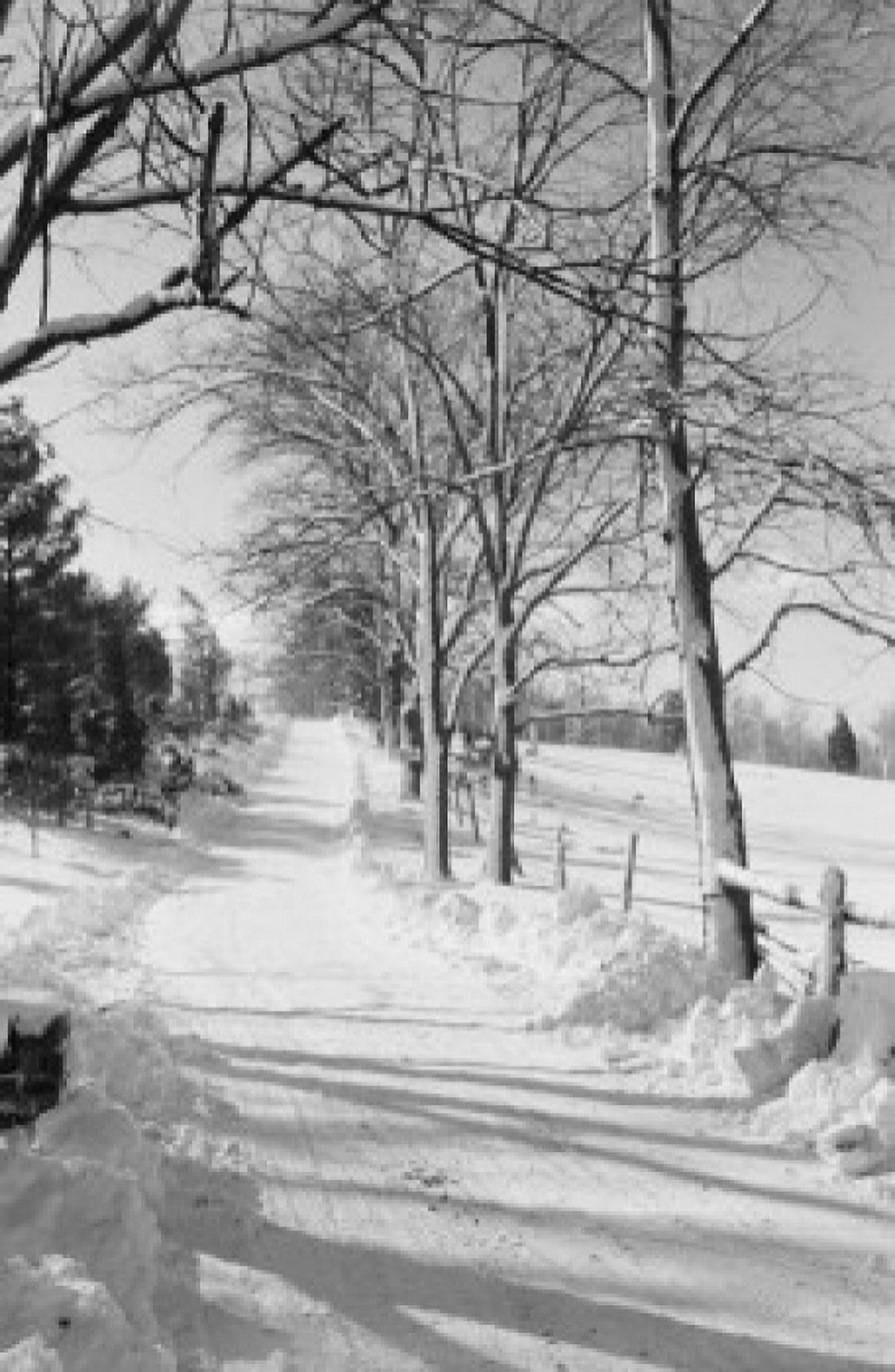 Rural road in winter Canvas Art - (24 x 36)