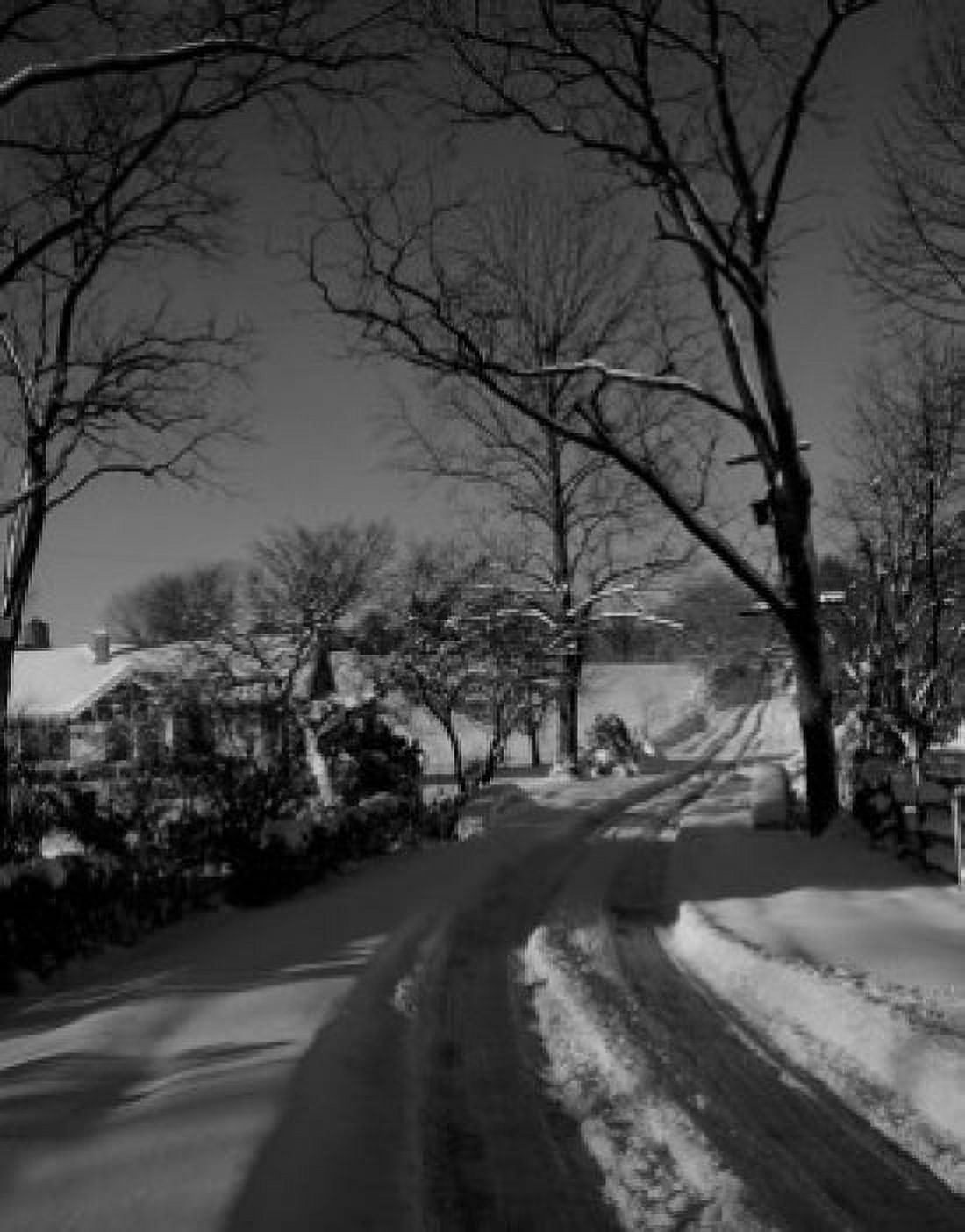 Rural scene in winter Canvas Art - (18 x 24)