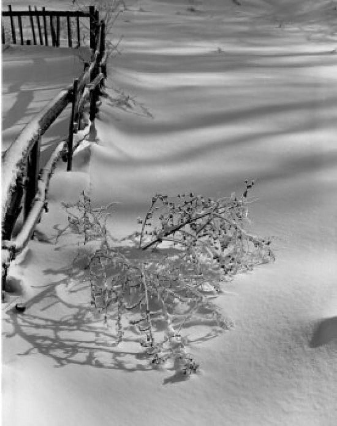 Rural winter scene Canvas Art - (24 x 36)