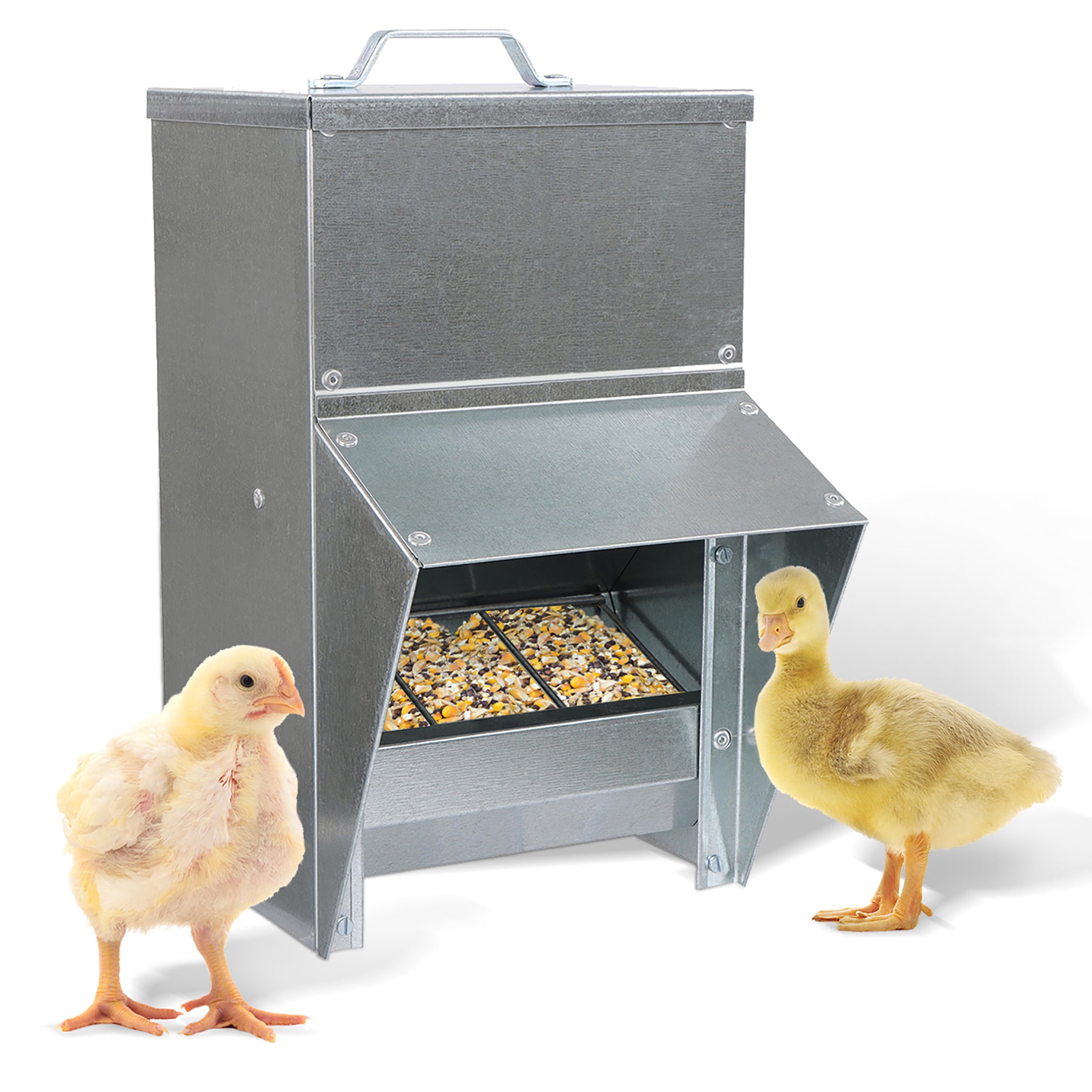 Galvanized Steel Weatherproof Poultry Feeder with Lid, 11.5 lbs