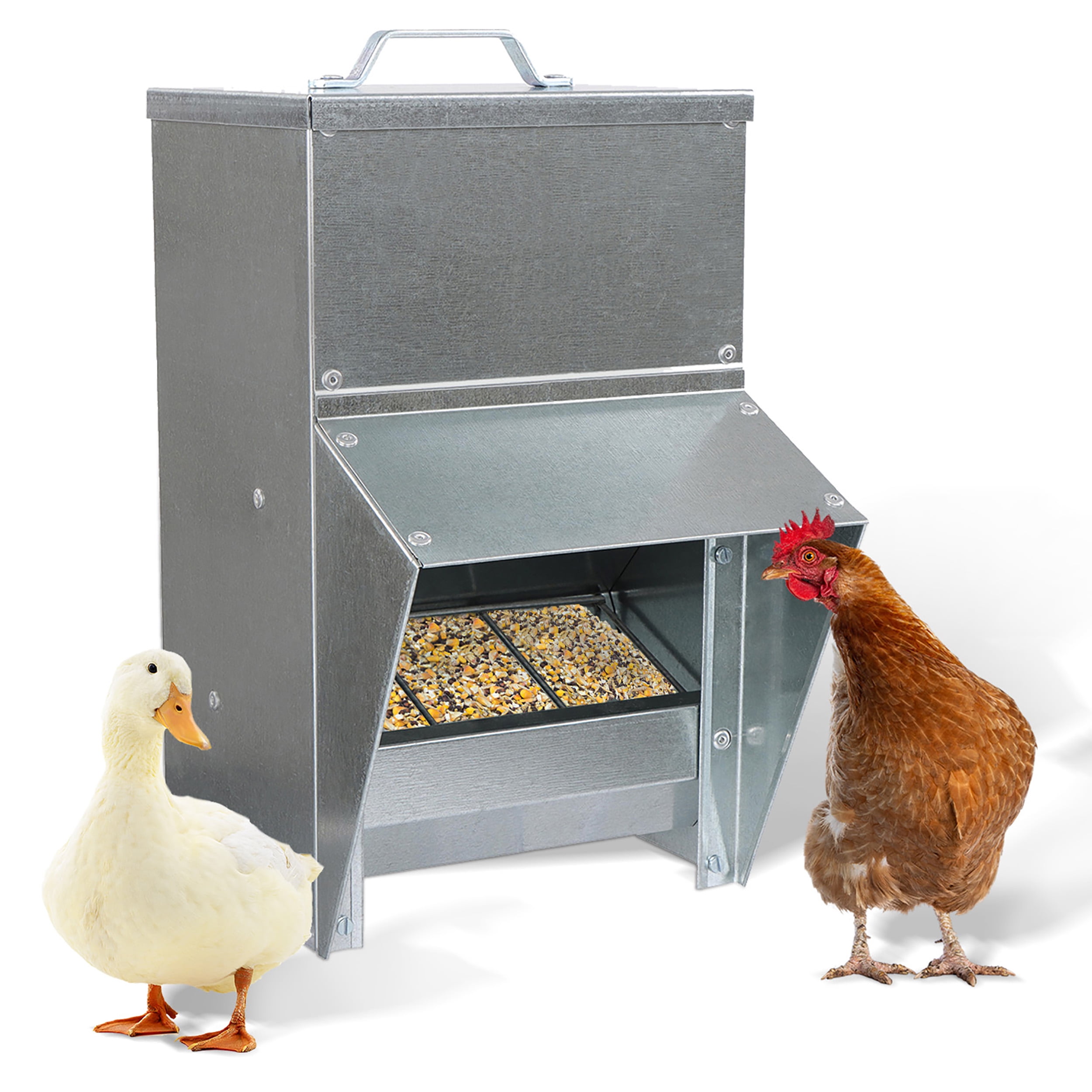 50lb Galvanized Steel Weatherproof Poultry Feeder with Lid