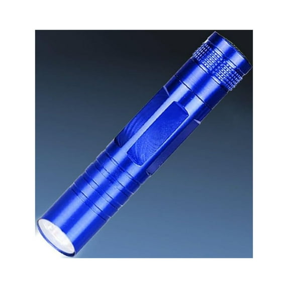 Ruroz 1 Pcs Flashlight Small Mini Flashlight Set with Lanyard Plastic Torch for Kids Camping Hiking Night Party Favors