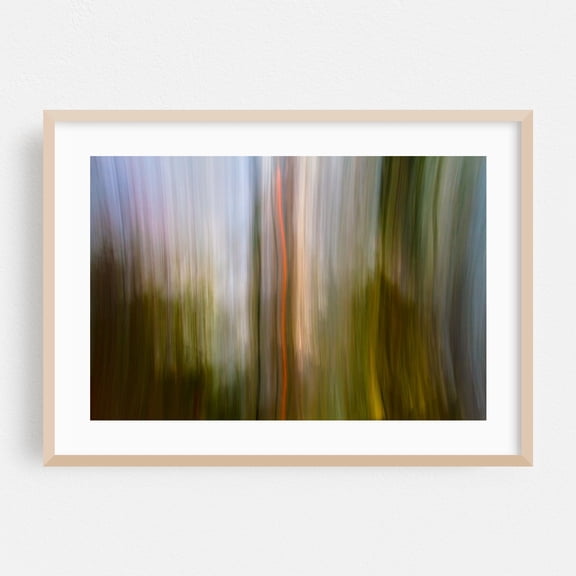 The Rush Of Synapses Firing - Photography Abstract Nature Forest Surrealism Minimalist Modern Art Psychedelic Oak Framed Wall Art Print 12 x 18 inches