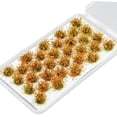 thumbnail image 1 of Rushawy 32 Pieces Modelling Flower Cluster Miniature Flower for Model Building Kits Sand Withered Yellow, 1 of 9