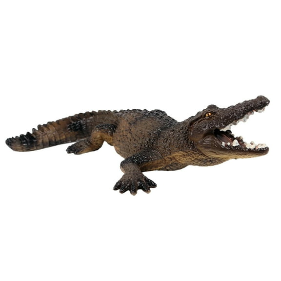 Rushawy Realistic Crocodile Figurines Alligator Figurines Collection Eduactional Project Brown