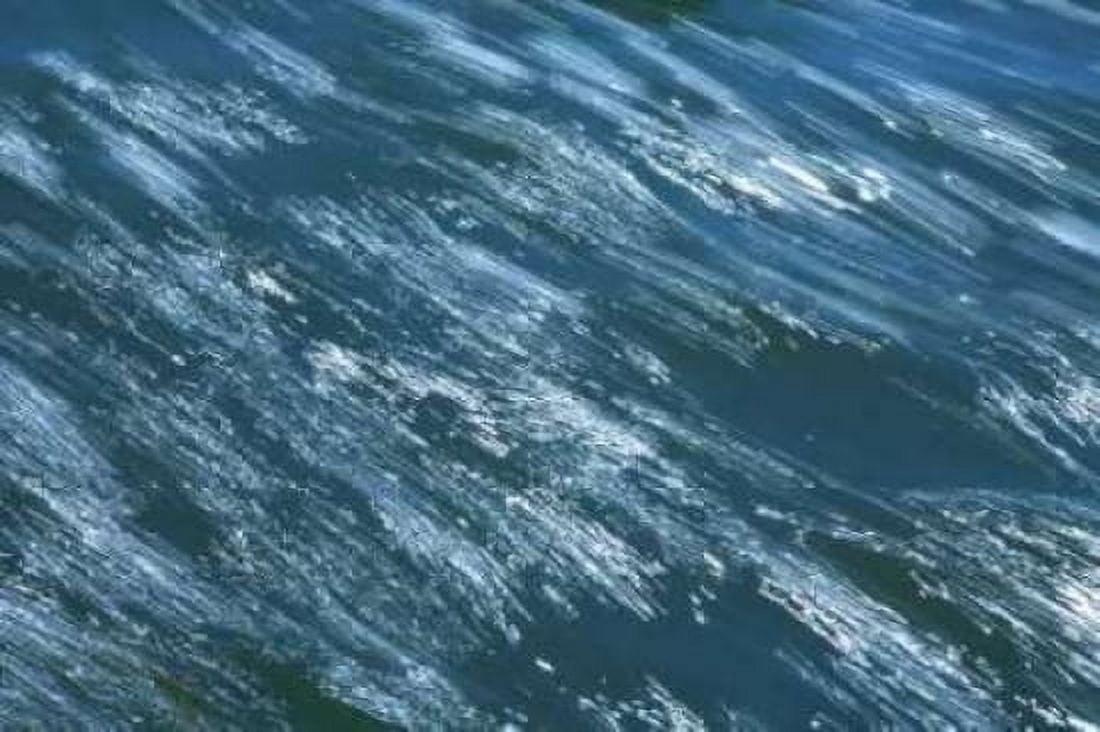 Rushing Water II Canvas Art - Karyn Millet (24 x 36)