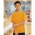 thumbnail image 1 of Russell Athletic Collegiate Blue 6136 L, 1 of 2