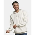 thumbnail image 1 of Russell Athletic Dri Power® Hooded Sweatshirt, 1 of 5