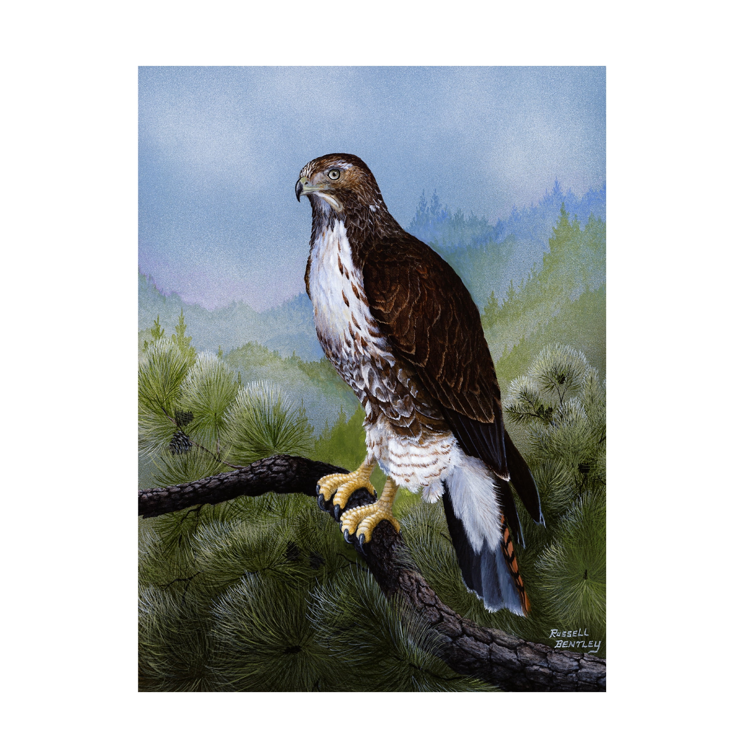 Russell Bentley 'Above and Beyond' Canvas Art