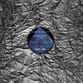 thumbnail image 1 of Russell E.L. Butler - First Step - Vinyl, 1 of 1