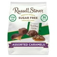 thumbnail image 1 of 2X - Russell Stover Sugar Free Assorted Candy Caramels Standup Bag - 17.6oz, 1 of 5
