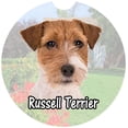 thumbnail image 1 of Russell Terrier Car Coaster, Absorbent Stoneware Car Cup Holder Coaster, Set of 2, 1 of 1