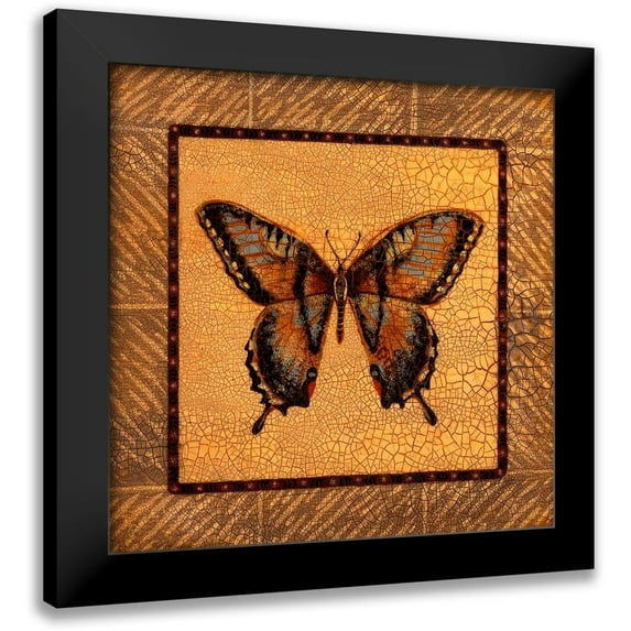 Russell, Wendy 15x15 Black Modern Framed Museum Art Print Titled - Crackled Butterfly - Swallowtail