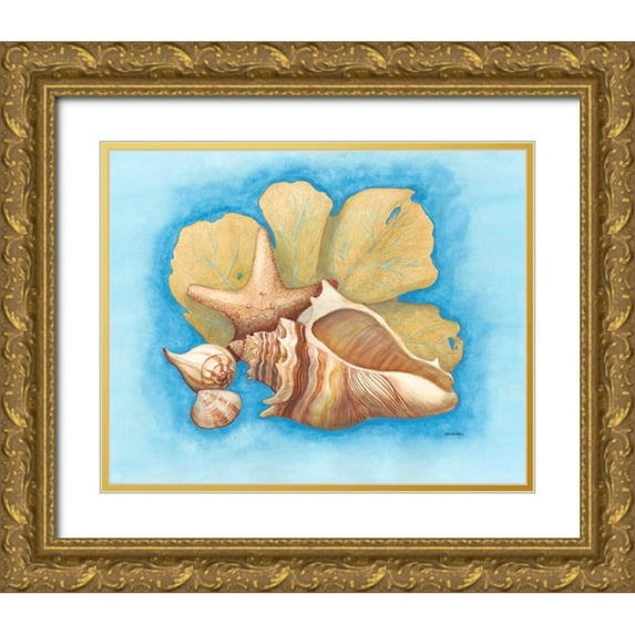 Russell, Wendy 18x15 Gold Ornate Wood Framed with Double Matting Museum Art Print Titled - Seashells and Seafan II