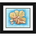 thumbnail image 1 of Russell, Wendy 24x20 Black Ornate Wood Framed with Double Matting Museum Art Print Titled - Seashells and Seafan II, 1 of 4