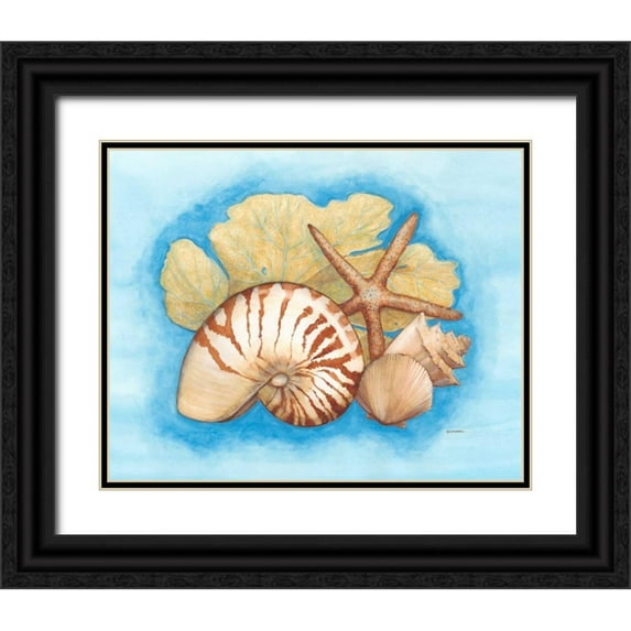Russell, Wendy 24x20 Black Ornate Wood Framed with Double Matting Museum Art Print Titled - Seashells and Seafan I