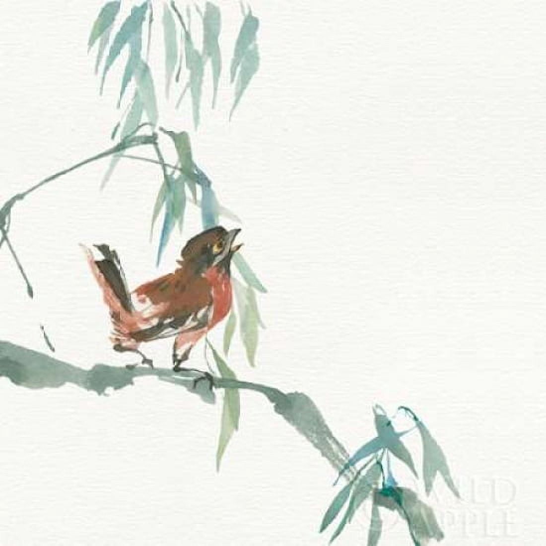 Russet Sparrow Canvas Art - Chris Paschke (24 x 24)