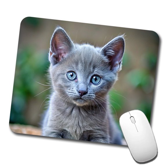 Russian Blue Cat Kitten Photo Mouse Pad Low Profile Gaming Mat
