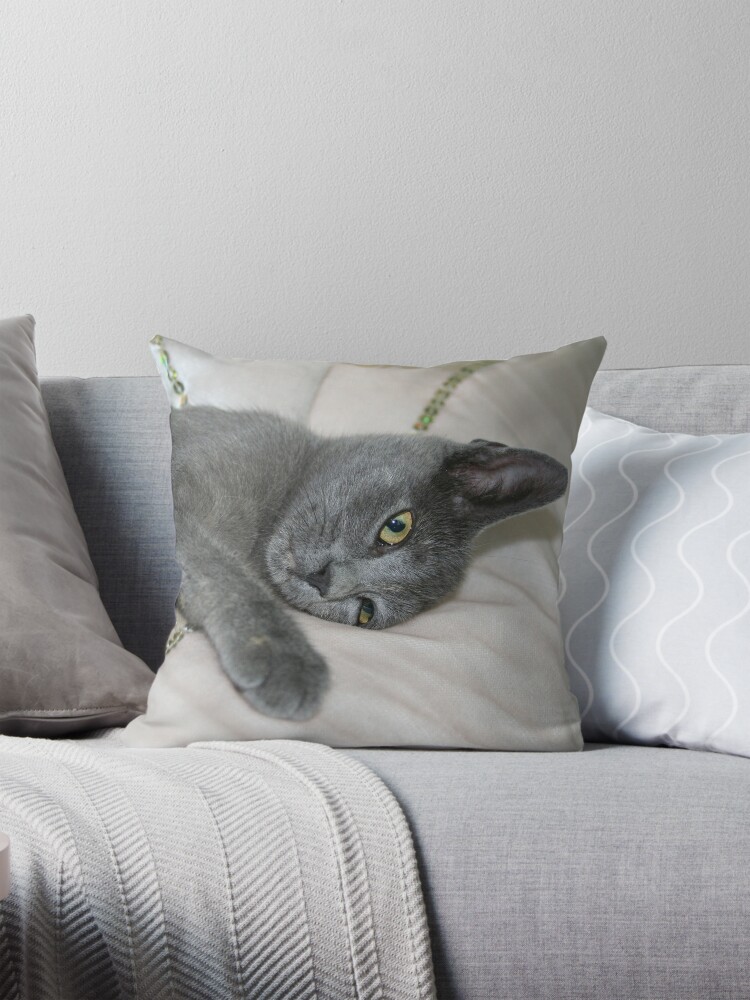 Russian Blue Kitten Relaxed On A Bed Throw Pillow Covers Cases Cushion