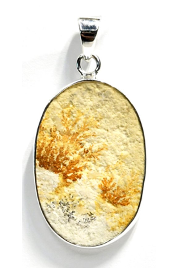 Russian Dendritic Agate pendant