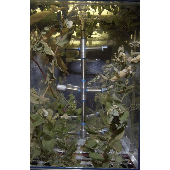 Russian Lada Greenhouse On The International Space Station. It Is An Experiment On Plant Development And Genetics. Some Harvested Seeds Will Be Re-Planted Onboard The Space Station While Others Will