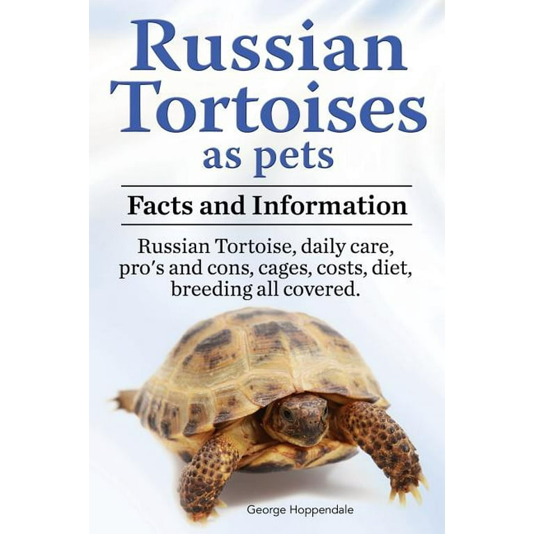 Cost of russian tortoise outlet