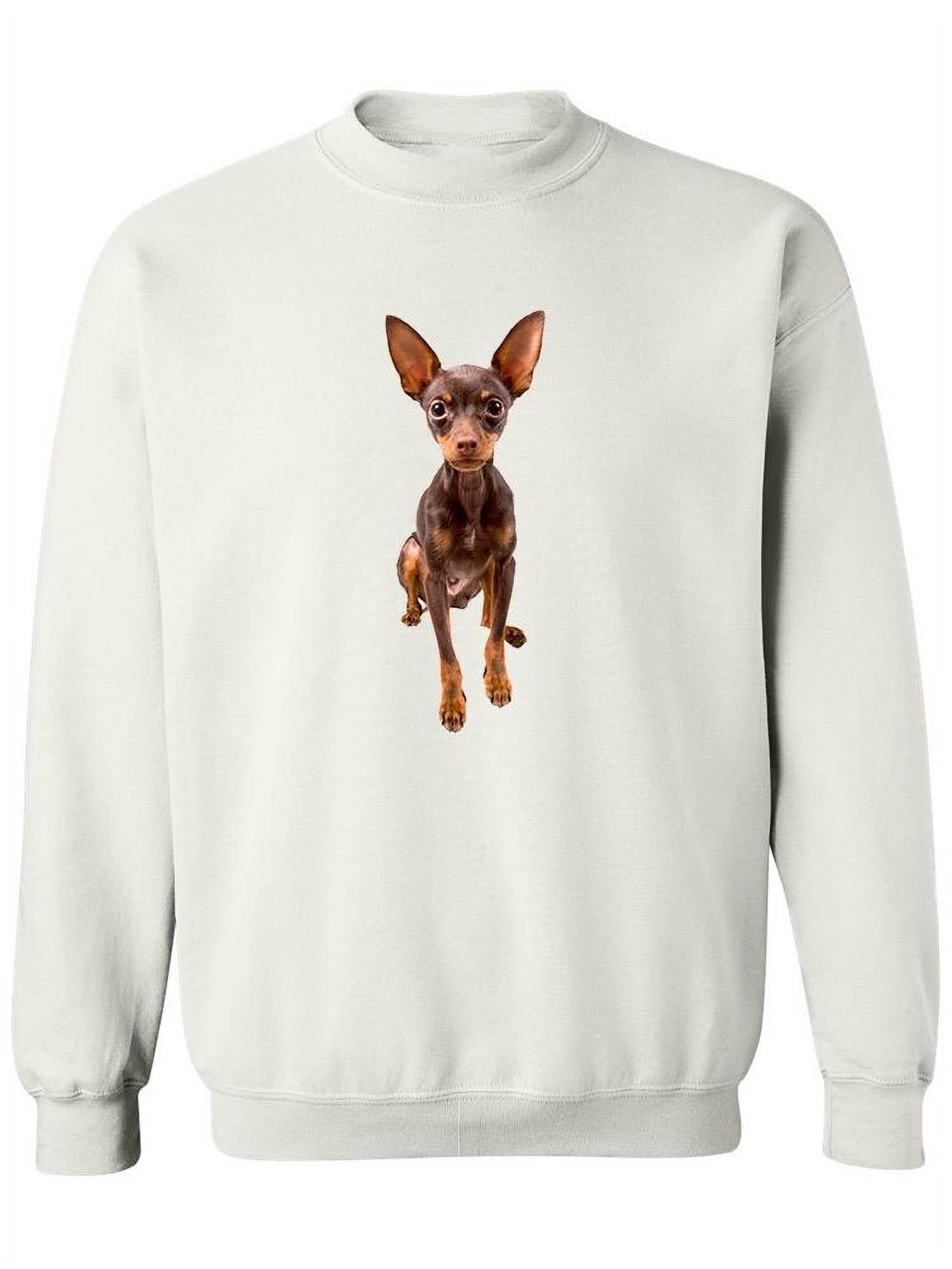 Russian Toy Terrier Puppy Sweatshirt