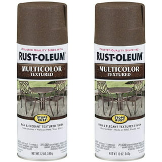 Rust Oleum 7992830 Stone Creations Spray, 12 oz, Gray Stone