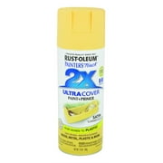 Rust-Oleum 249064 Painter's Touch 2X Ultra Cover Spray Paint, 12 oz, Satin Summer Squash