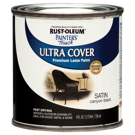Rust-Oleum 267249 Satin Canyon Black Indoor and Outdoor Paint 8 oz.