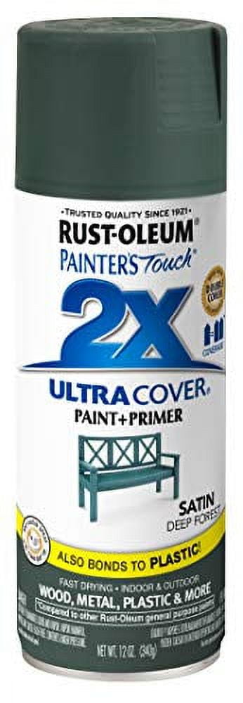 Rust-Oleum 249099 Painters Touch 2x Spray Paint, Satin Stone Gray, 12-oz.