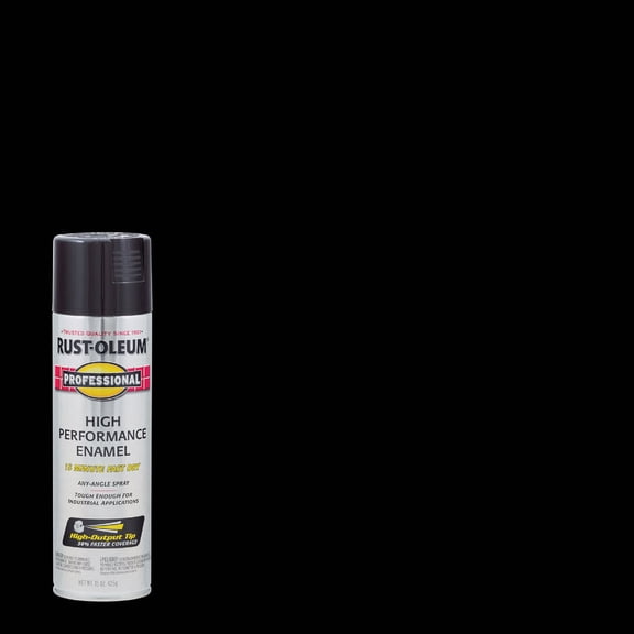 Rust-Oleum 7579838 Professional Black Gloss High Performance Spray Enamel 15 Ounce,1 Each