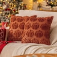 thumbnail image 1 of Rust Red Fall Pumpkin Decorative Throw Pillow Covers Set of 2, 20x20 Inch Soft Plush 3D Embroidered Halloween Pillow Covers for Fall Decorations Farmhouse Cushion Covers for Thanksgiving, 1 of 9