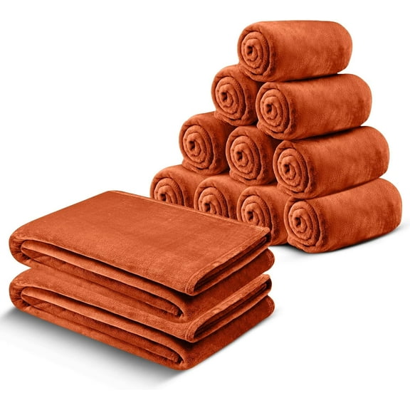 Moonlight20015 Wholesale Fleece Twin Blankets 12-Packs All-Season Soft Plush Throw for Charity, Shelter, & Home Washable, Lightweight & Cozy Rust (60"x80")