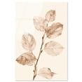 thumbnail image 1 of Rust and Renewal II Acrylic Print Boho Natural Art by Art Remedy, Ready to Hang, 36 x 54, 1 of 7