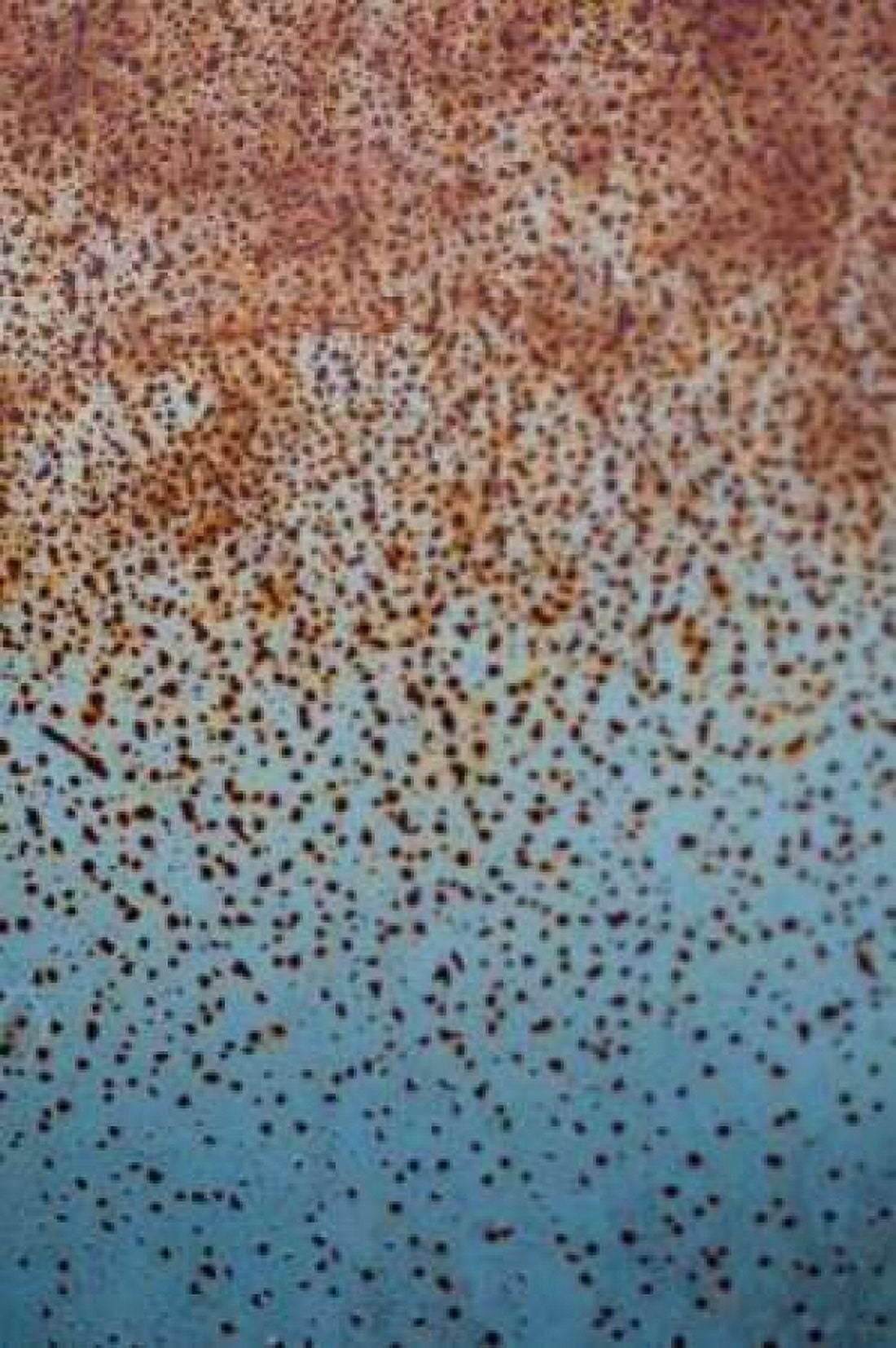 Rust on Antique Car I Canvas Art - Erin Berzel (20 x 28)