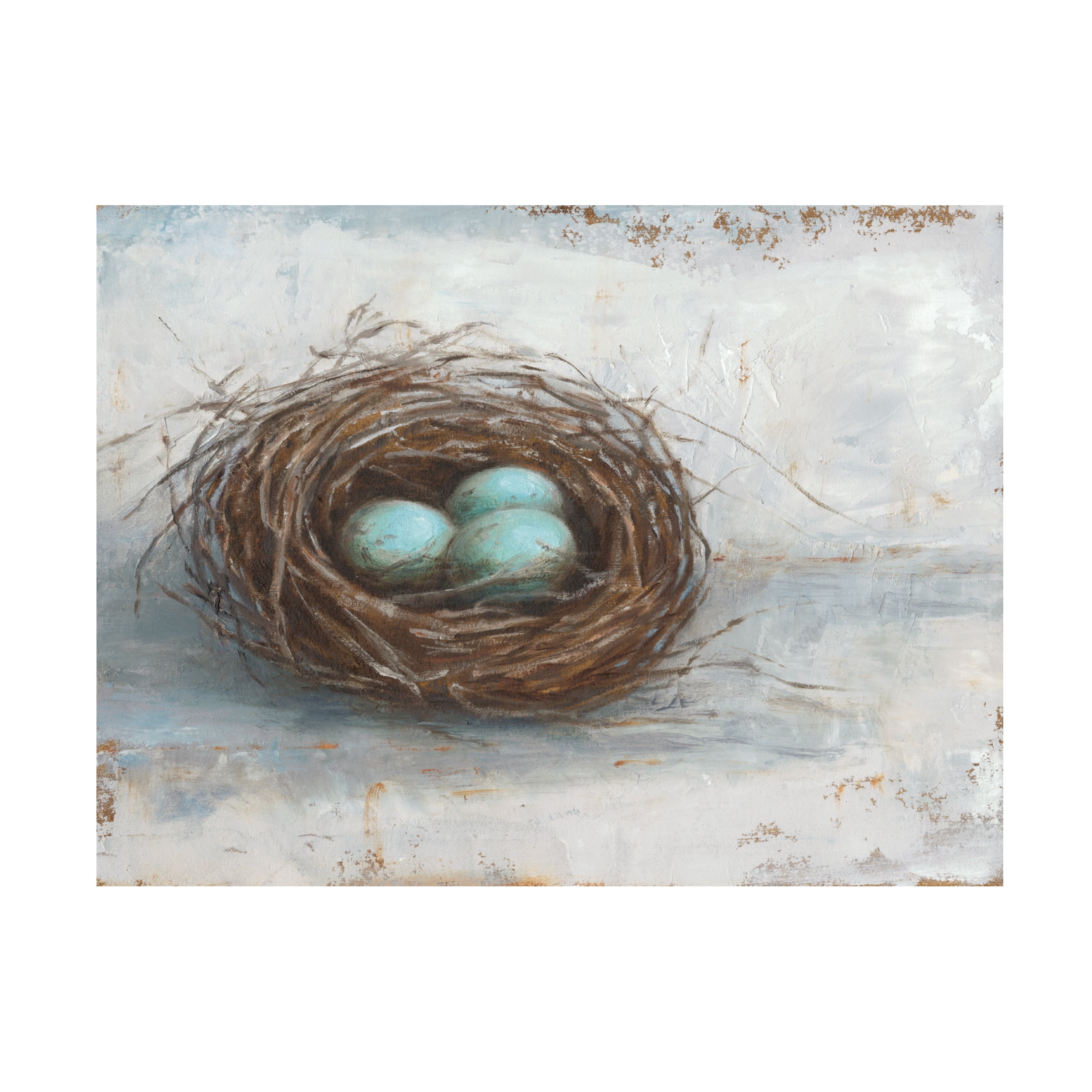 Trademark Fine Art Ethan Harper Rustic Bird Nest I Canvas Wall Art - 14x19