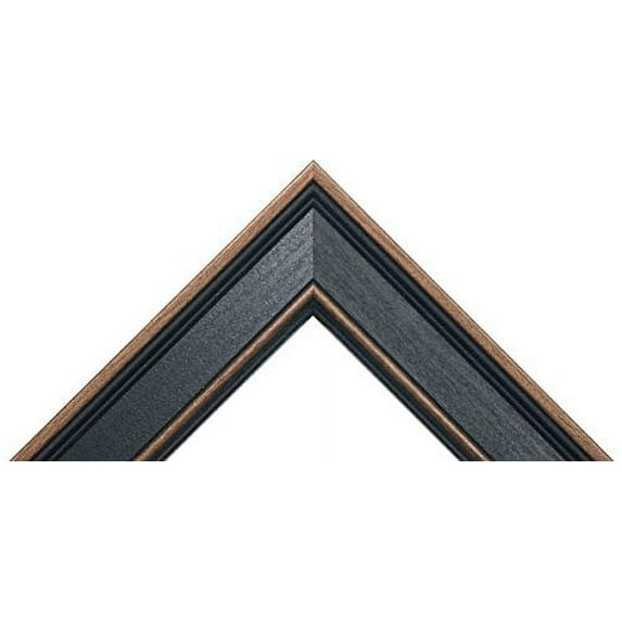 Rustic Black Poplar Picture Frame Great for 3/4" Canvas, (Different Sizes) (16x20)