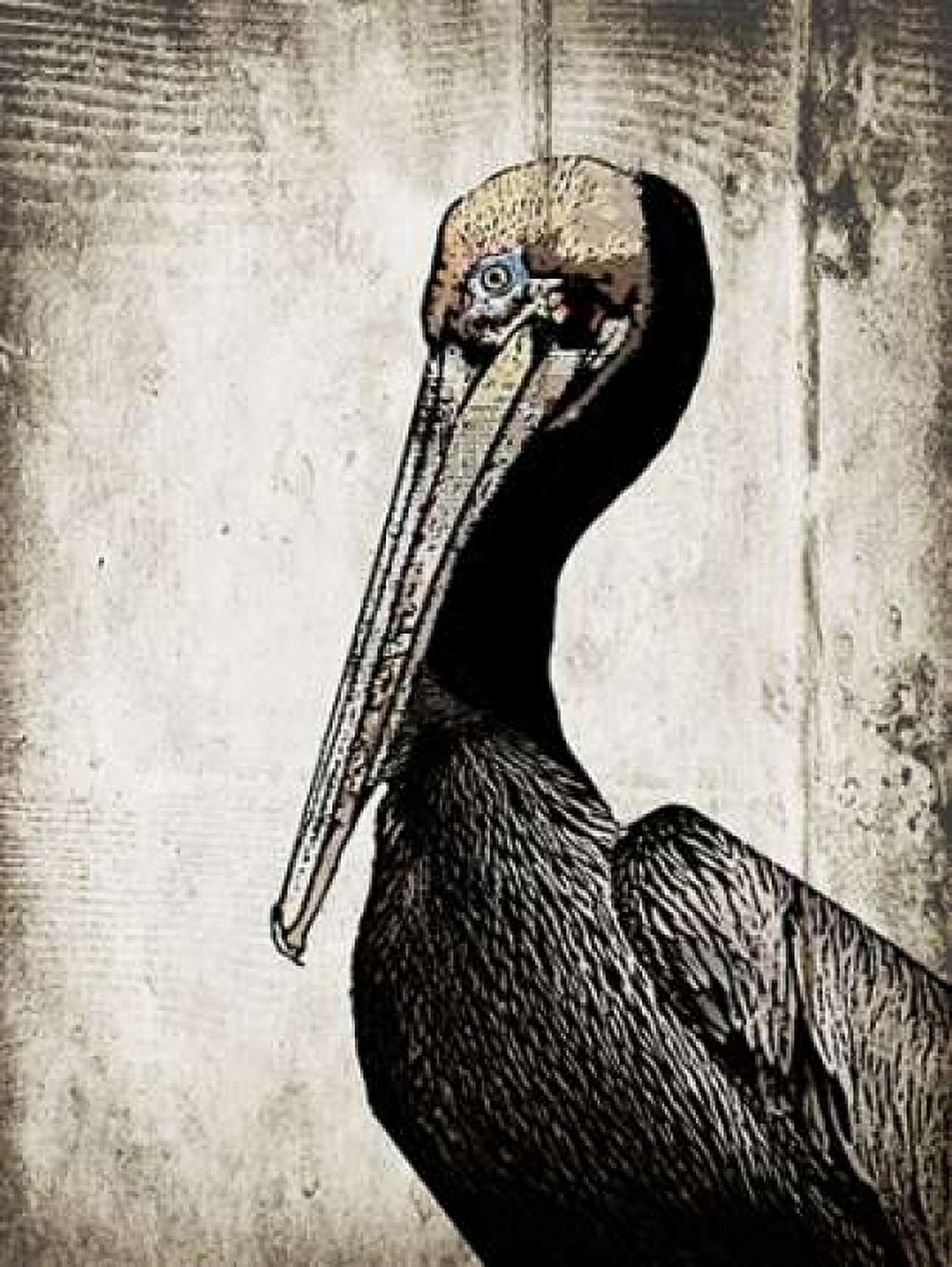 Rustic Brown Pelican Canvas Art - Sarah Ogren (22 x 28)