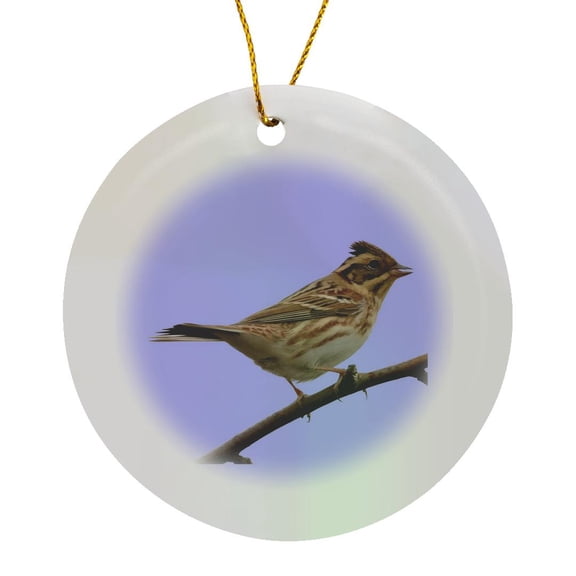 3drose, Rustic Bunting Bird Vector Isolated, Circle Porcelain Ornament