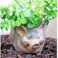 thumbnail image 1 of Rustic Country Farm Hog Heavens Angel Wings Pig Decorative Vase Planter Pot, 1 of 10