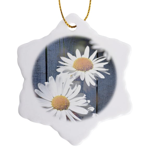 3drose, Rustic Door with Daisy Flowers - Inspired Gardens, 3 inch Snowflake Porcelain Ornament