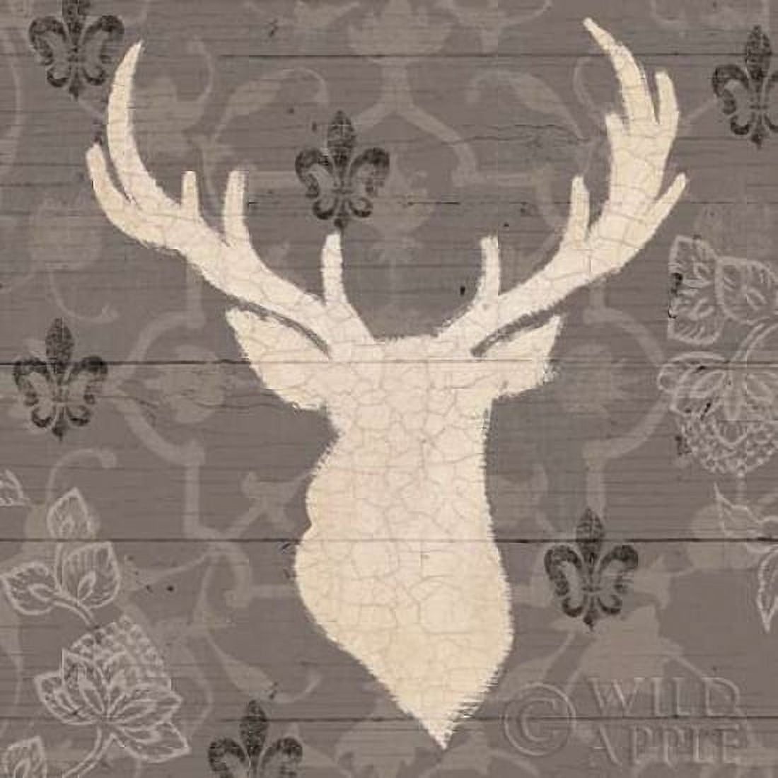 Rustic Elegance I Canvas Art - James Wiens (24 x 24)