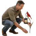 thumbnail image 1 of Rustic Fall Halloween Garden Solar Stake Light, Red Cardinal Bird With Suspended Retro Lantern, IP65 Waterproof LED Landscape Lamp For Lawn Walkway Backyard Harvest Decoration, 1 of 6