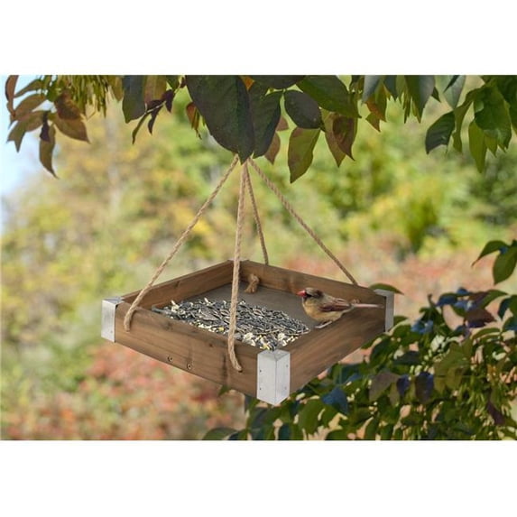 Rustic Farmhouse Platform Feeder - Natural Wood - 2.5in. H x 9.25in. W x 10.75in. D - Durable Design