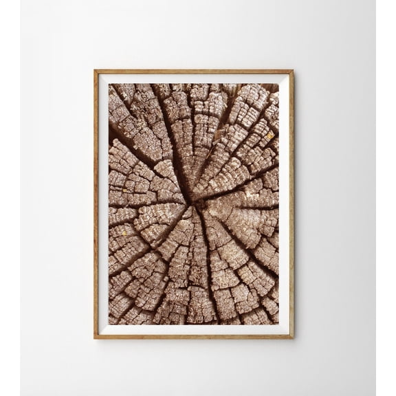 Rustic Farmhouse Tree Ring Log Slice Wood Porch Decoration Home Decor Office Wall Art